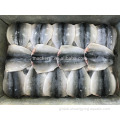 Flap Mackerel Chinese Frozen Fish Block Frozen Butterfly Mackerel Fish Flaps For Market Manufactory